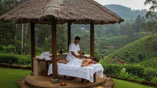 Kandy Sinharaja Wellness