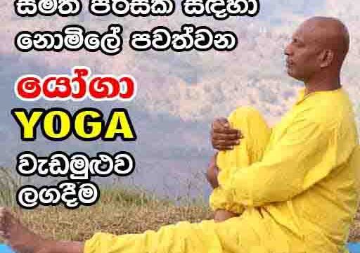 yoga_near_me-512×462